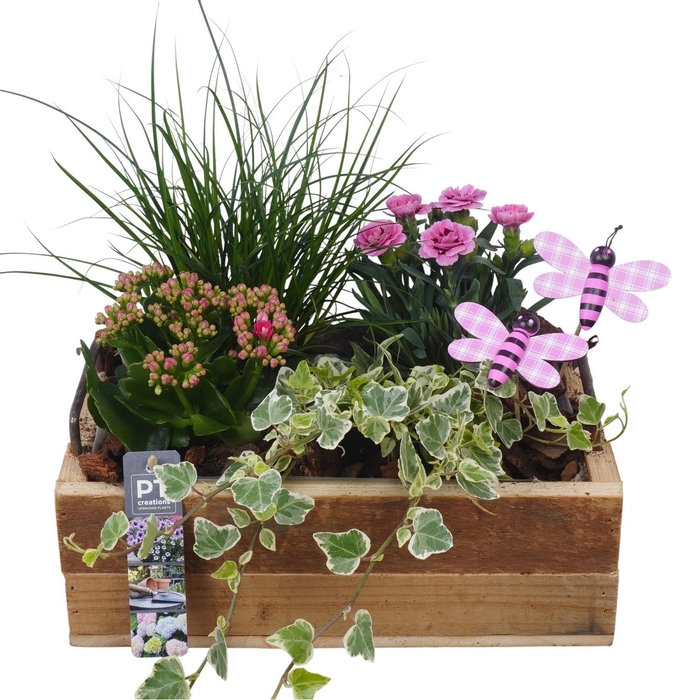 <h4>PTPP7053 Arrangement Patio in houten bak</h4>