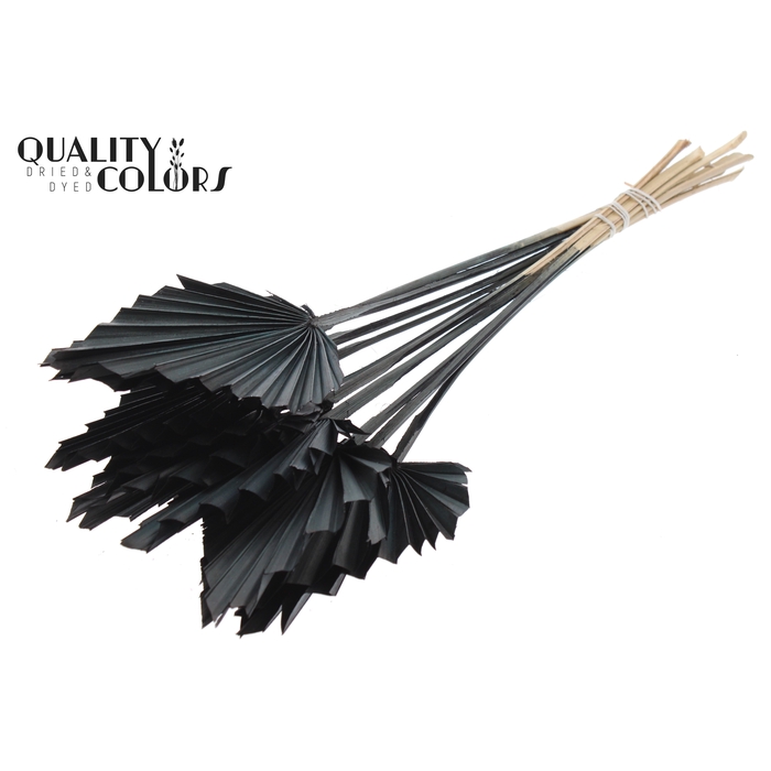 <h4>Palm Spear per stem Black</h4>