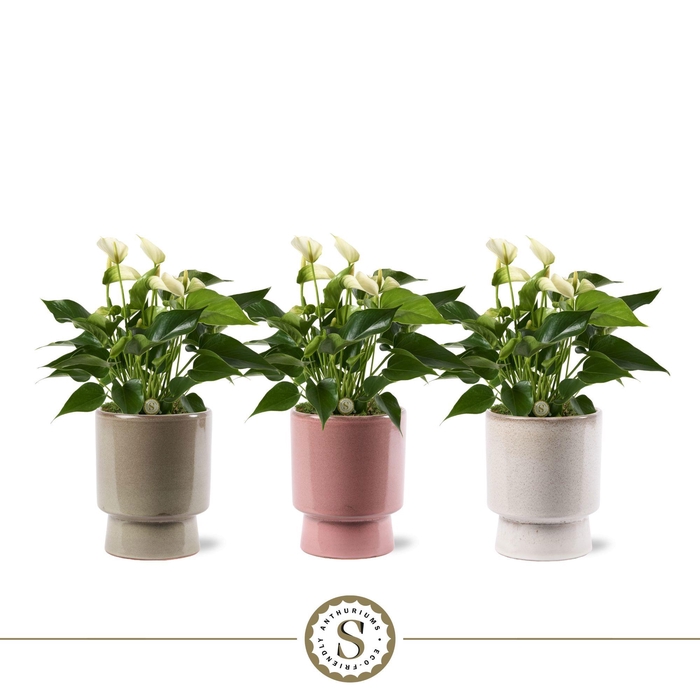 <h4>Toulouse Keramiek White</h4>