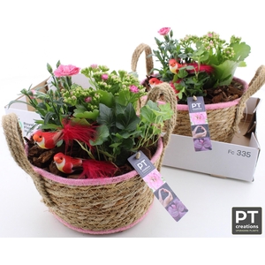 ARR TUINPLANTEN