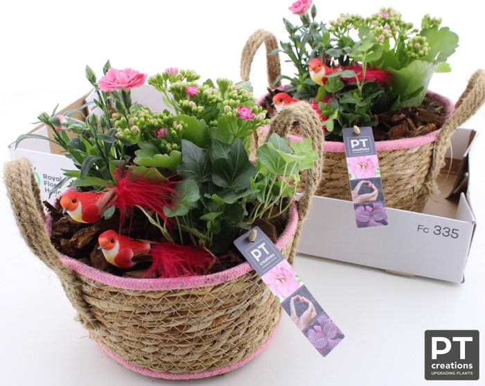 <h4>ARR TUINPLANTEN</h4>