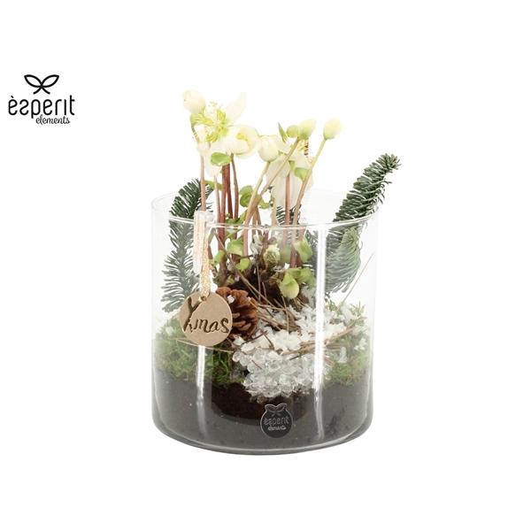 <h4>61700: X-mas arrangement</h4>