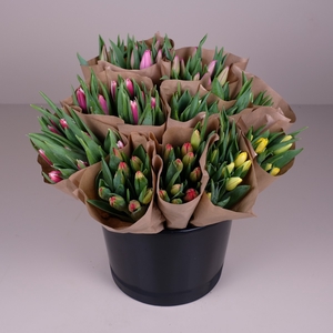 Bq Mono Tulips mix 7-er 24 gr.