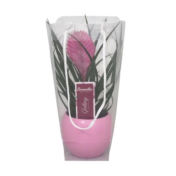 <h4>Tillandsia cyanea 'Anita' in roze bolpot in blanco draagtas</h4>