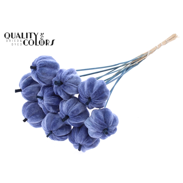 <h4>Velvet Pumpkin Ø6cm on stem Blue</h4>