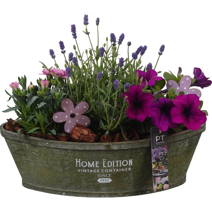 <h4>Arr.   Perkplanten H%</h4>
