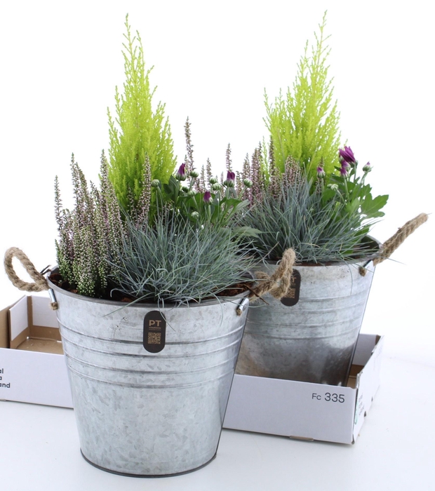 <h4>ARR TUINPLANTEN</h4>