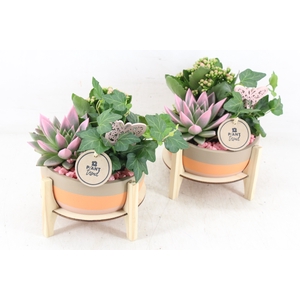arr2 PL - Ker. op houten voet  roze