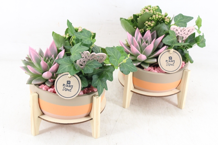 <h4>arr2 PL - Ker. op houten voet  roze</h4>