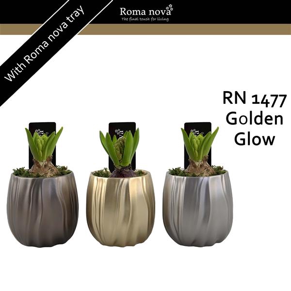 <h4>Arrangementen Hyacinthus 6%</h4>