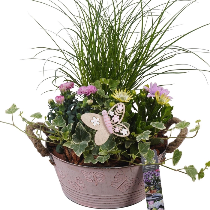 <h4>Arr.   Perkplanten L%</h4>