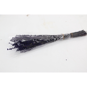 PF Lavendel Dark Purple