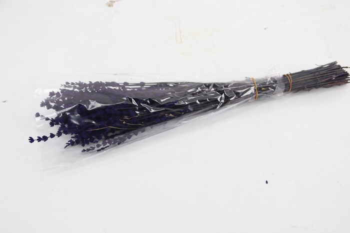 <h4>PF Lavendel Dark Purple</h4>