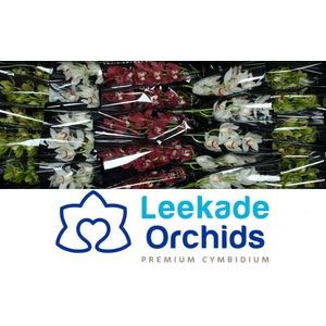 Cymb Mi Christmas Mix Leekade X30 20% Extra Packed