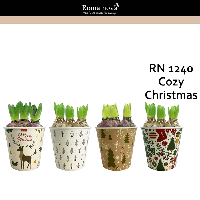 <h4>1240 - Cozy Christmas (Hyacint)</h4>