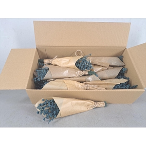 PF Lavendel Blue