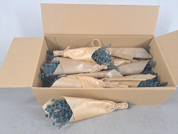 <h4>PF Lavendel Blue</h4>