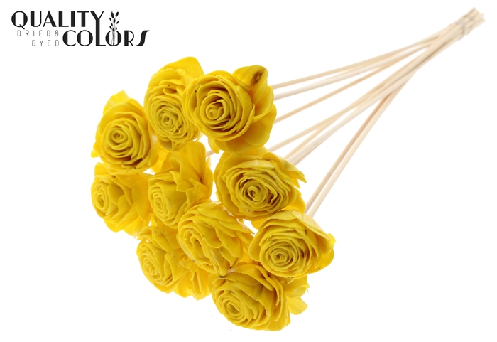 Shola Beauty Rose 6cm on stem Wax Yellow