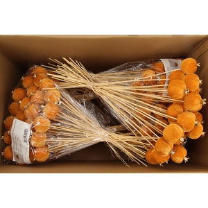 Stick Pomegranate V.6cm Brown