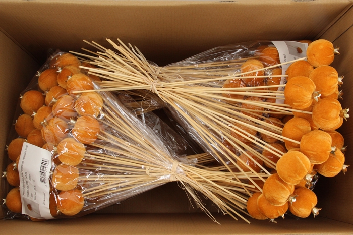 <h4>Stick Pomegranate V.6cm Brown</h4>