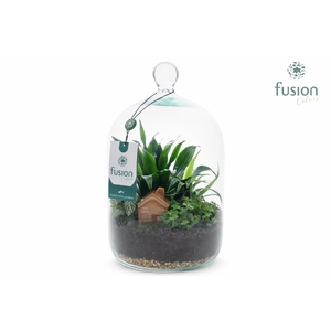 Green Bottle Novella Medium met arrangement