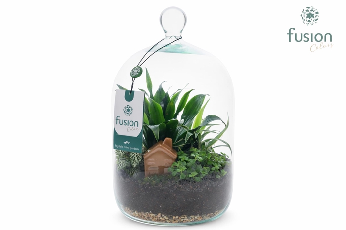 <h4>Green Bottle Novella Medium met arrangement</h4>