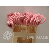 DECO stick heart wooden open pink