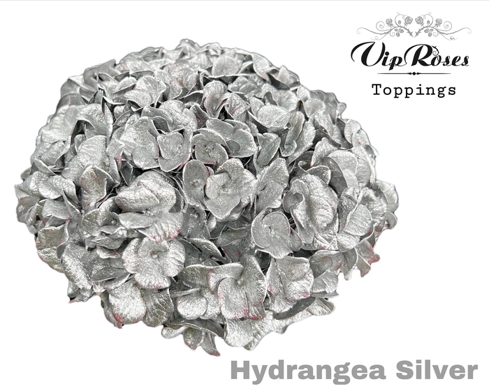 HYDR M SILVER 80cm