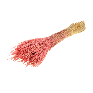 Rice Pink