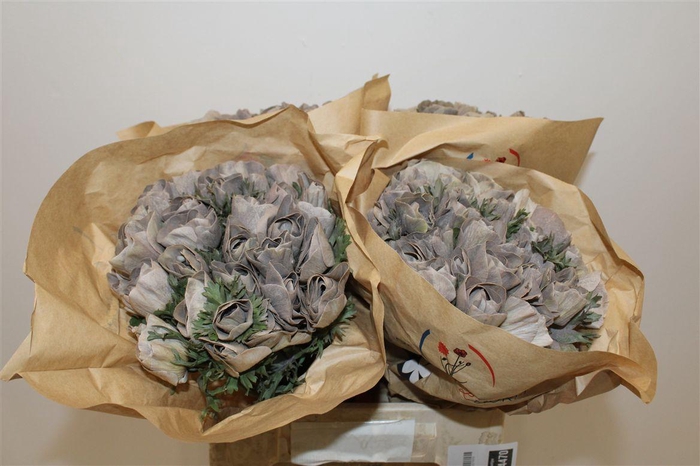 <h4>Anem Marianne Powder Brown</h4>