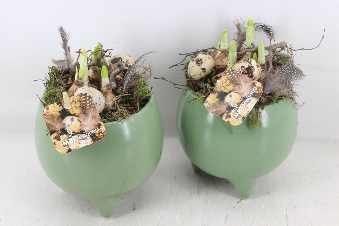 <h4>arr4 Narcis MB - Ker. pot pootjes groen x4</h4>