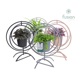 Globe metaal 4 kleuren Large met groene planten