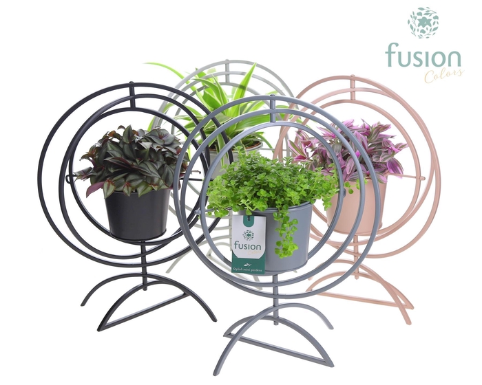 <h4>Globe metaal 4 kleuren Large met groene planten</h4>