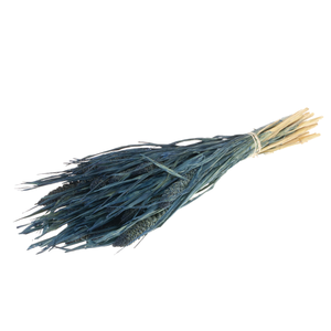 Setarea Italica Dark Blue