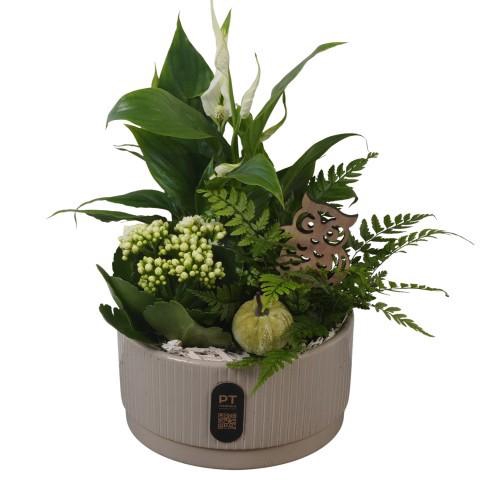 <h4>PTHI3219 Arrangement Autumn Indoor in keramiek schaal</h4>