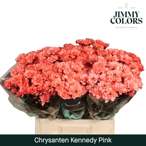 Chr T Kennedy Pink