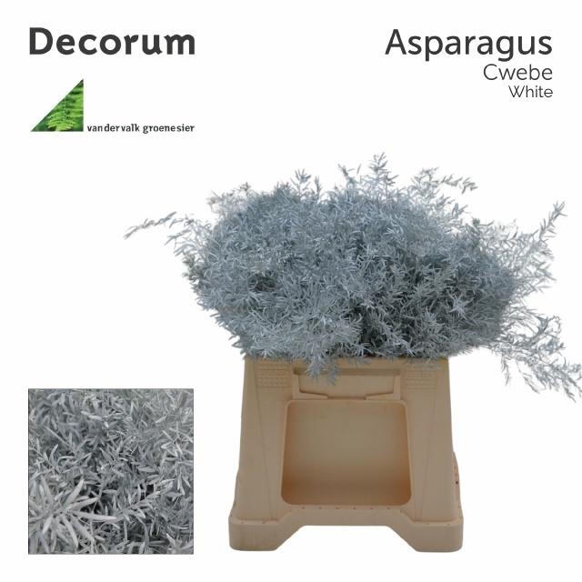 <h4>ASP DE CWEBE KLB H%</h4>