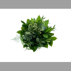 BQ Sisal Green Medium