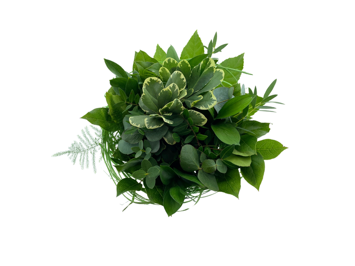 <h4>BQ Sisal Green Medium</h4>