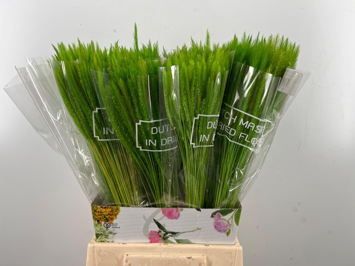 <h4>DROOGBL BEWERKT H%</h4>