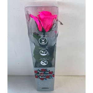 Roos op steel mini bright pink plexi