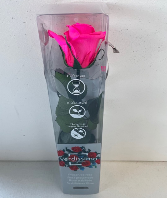 Roos op steel mini bright pink plexi