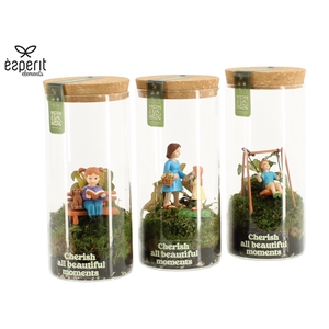 90976: Little Green Moments Terrarium