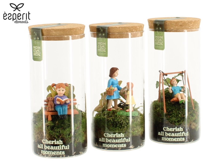 <h4>90976: Little Green Moments Terrarium</h4>