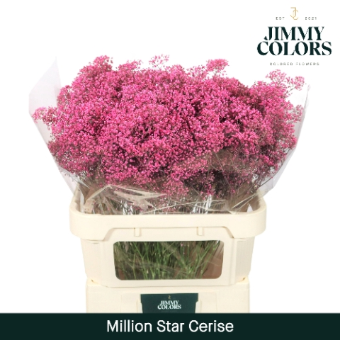 <h4>Gyps Million Star L80 Cerise</h4>