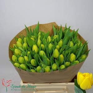 TU DU DOUBLE TROUBLE