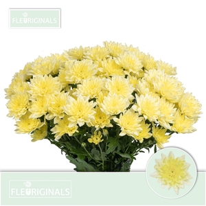 CHR T BALTICA CREAM