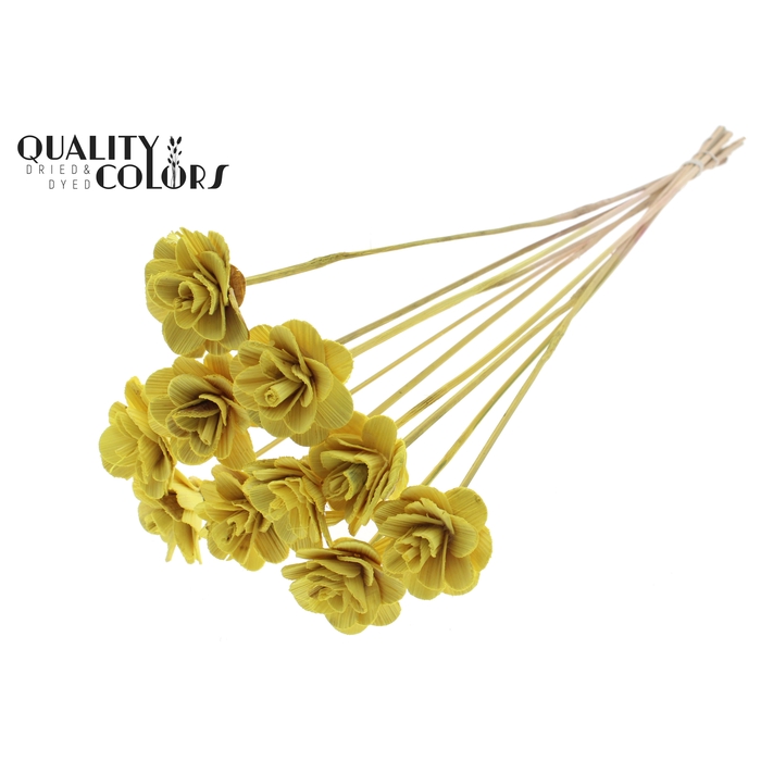 <h4>Beetal Rose 6cm on stem Yellow</h4>