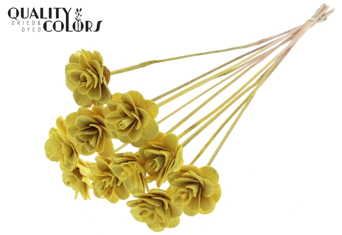 Beetal Rose 6cm on stem Yellow