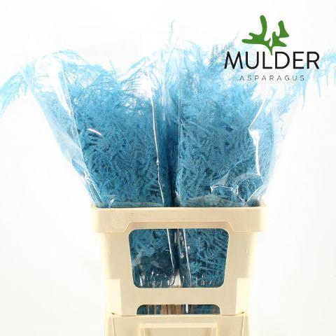 <h4>Asp Extra Klb Turquoise</h4>